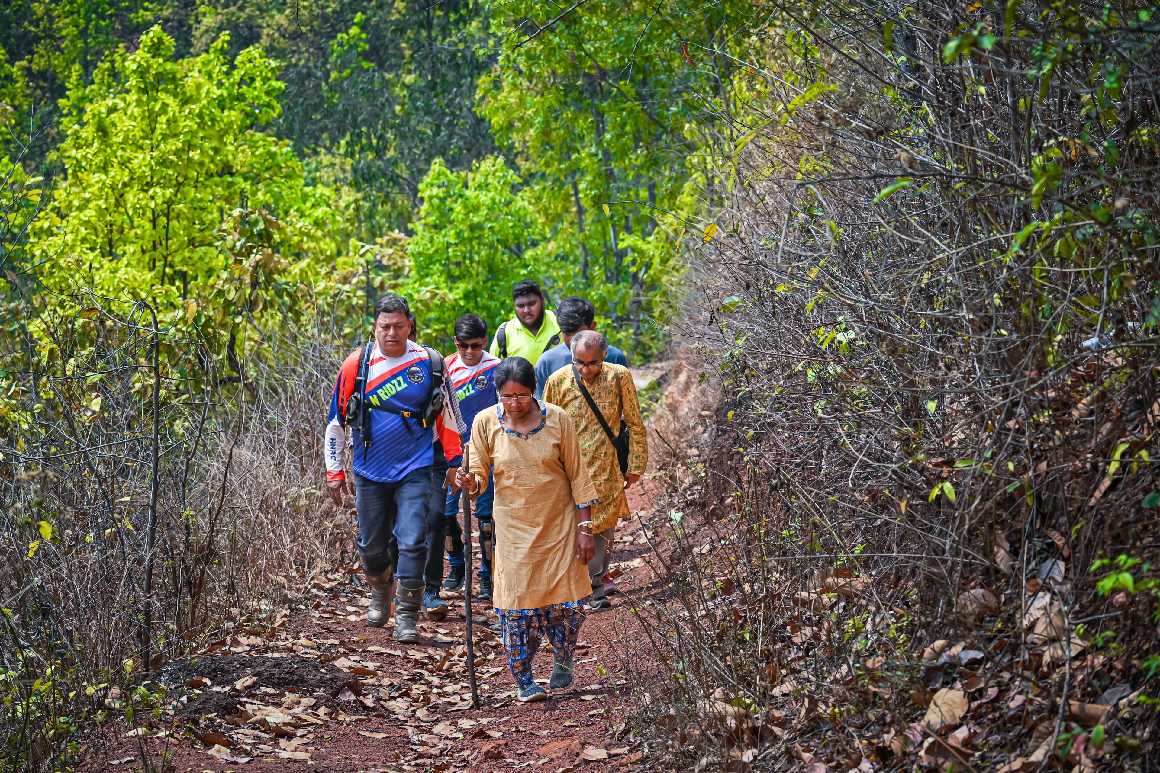 Shola Canopy Forest Trail