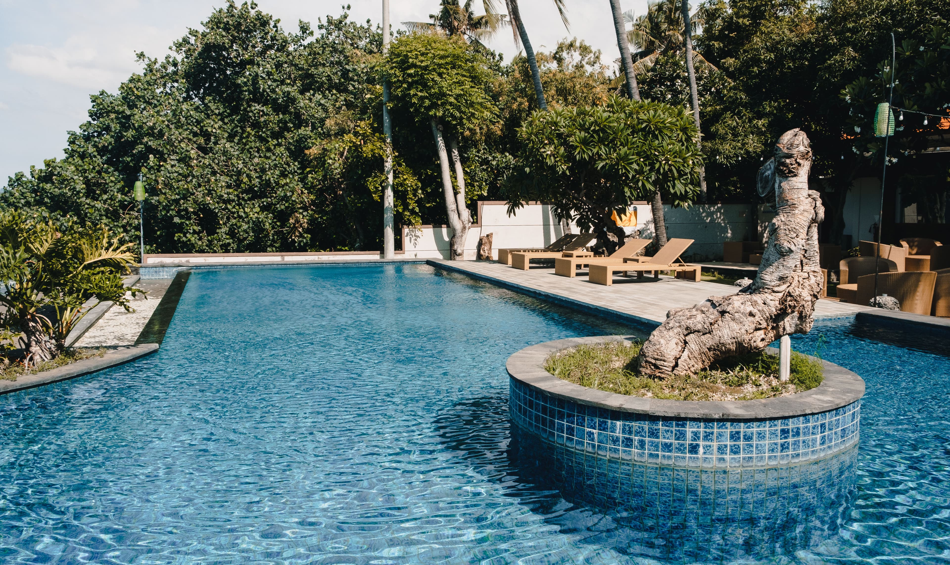 Infinity pool overlooking the forested valley ridgeline